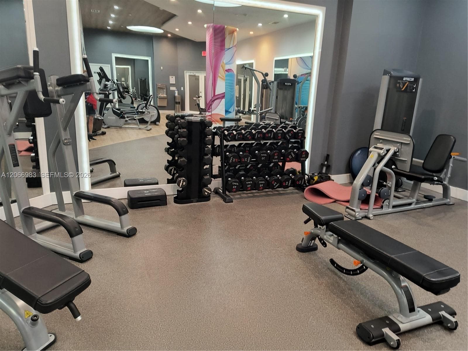 GYM