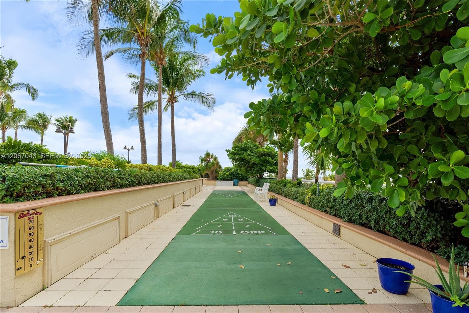 Outdoor shuffleboard court featuring a paved perimeter, integrated scoring marker, and mature tropical landscaping