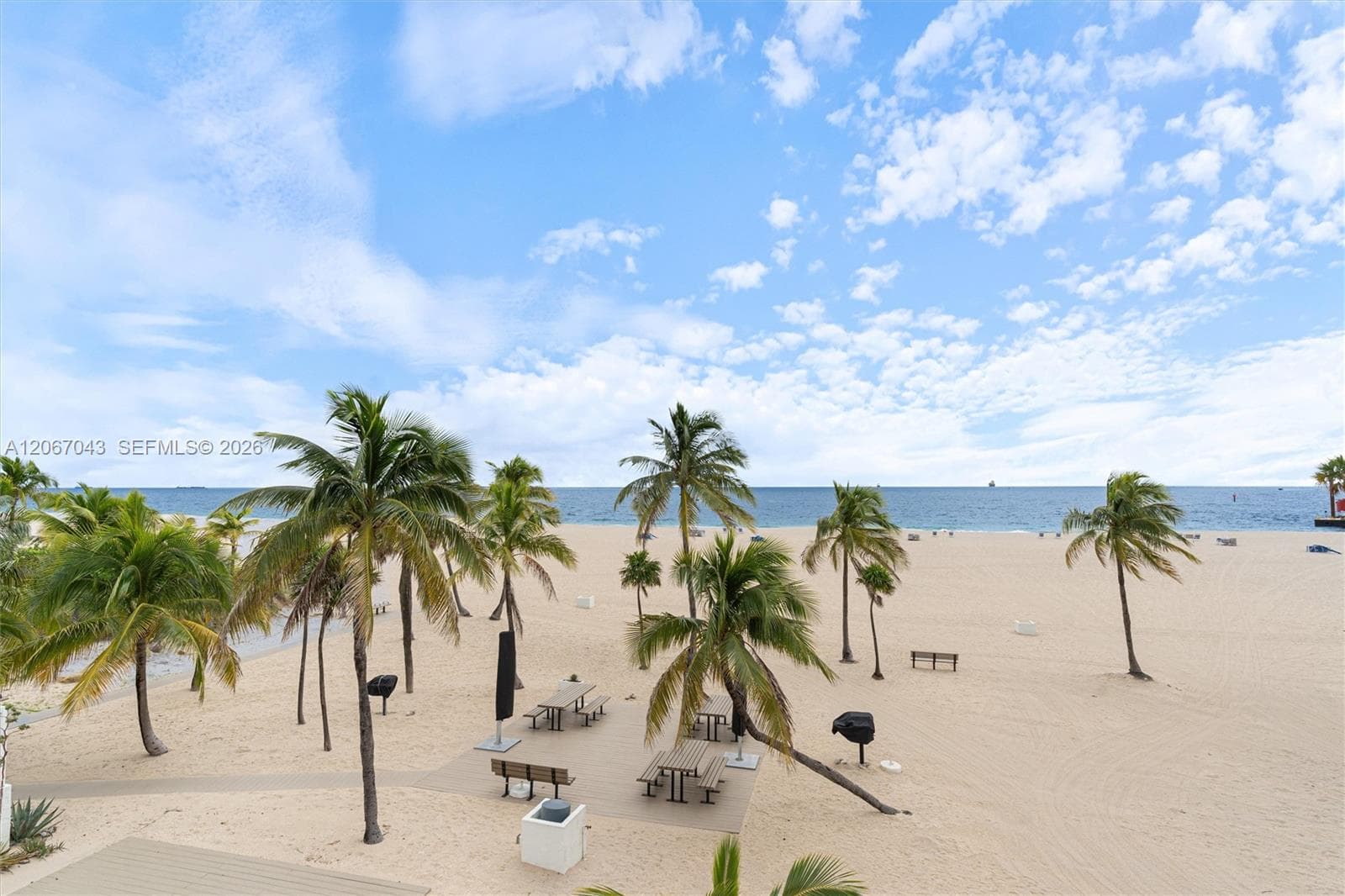 Sandy beach frontage featuring palm trees, a paved patio area, and built-in metal grills