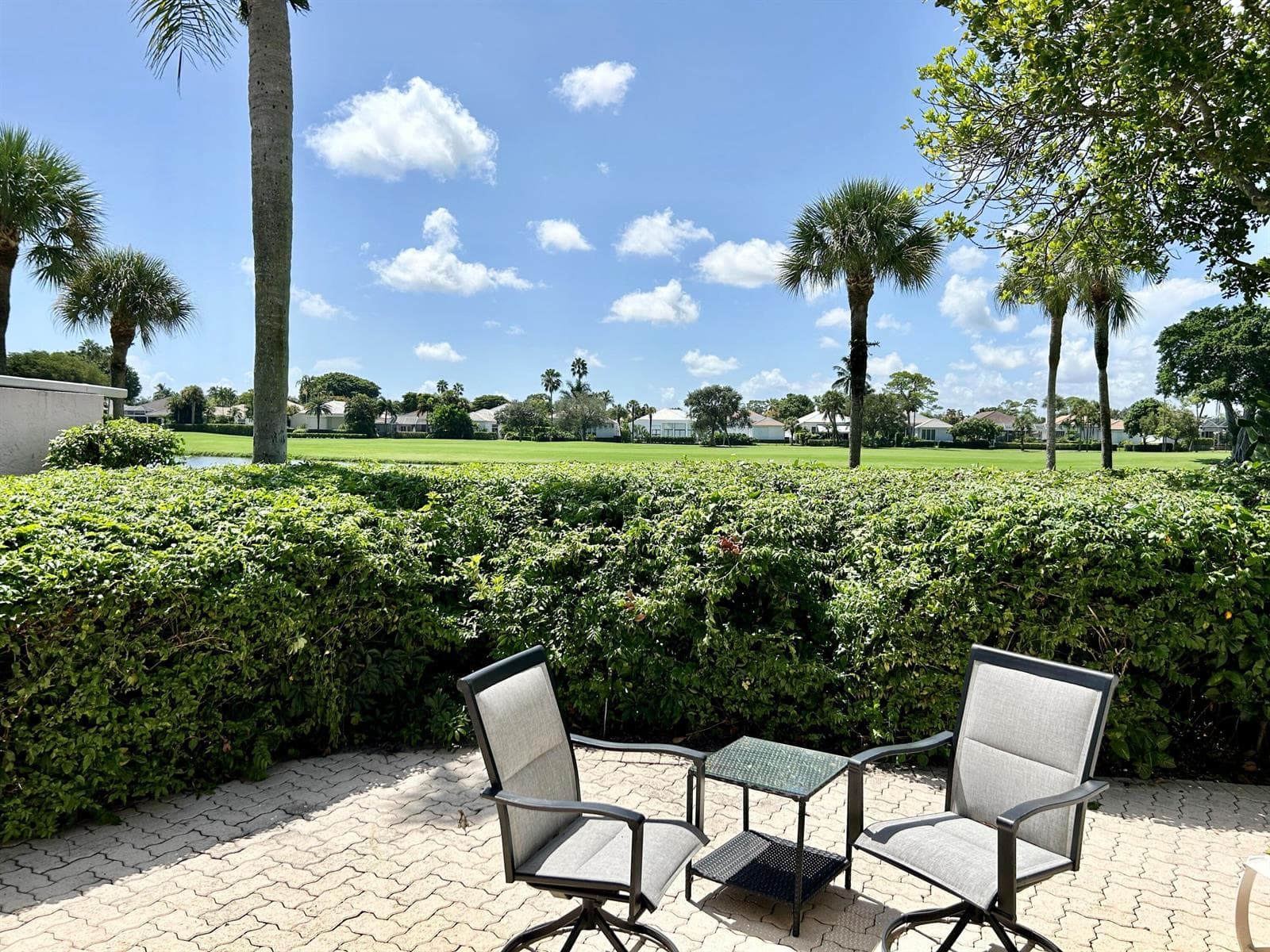backyard view