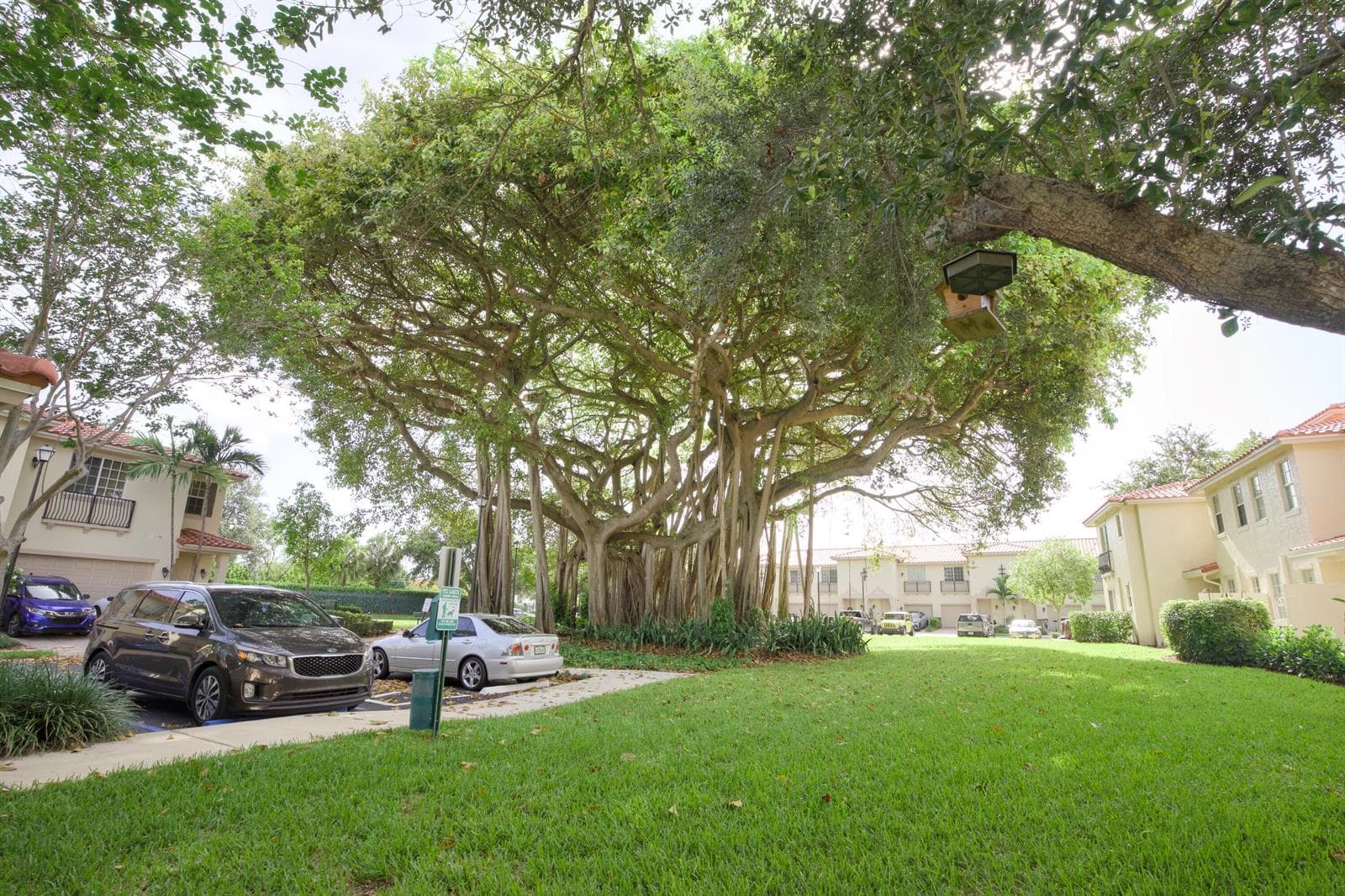 Park