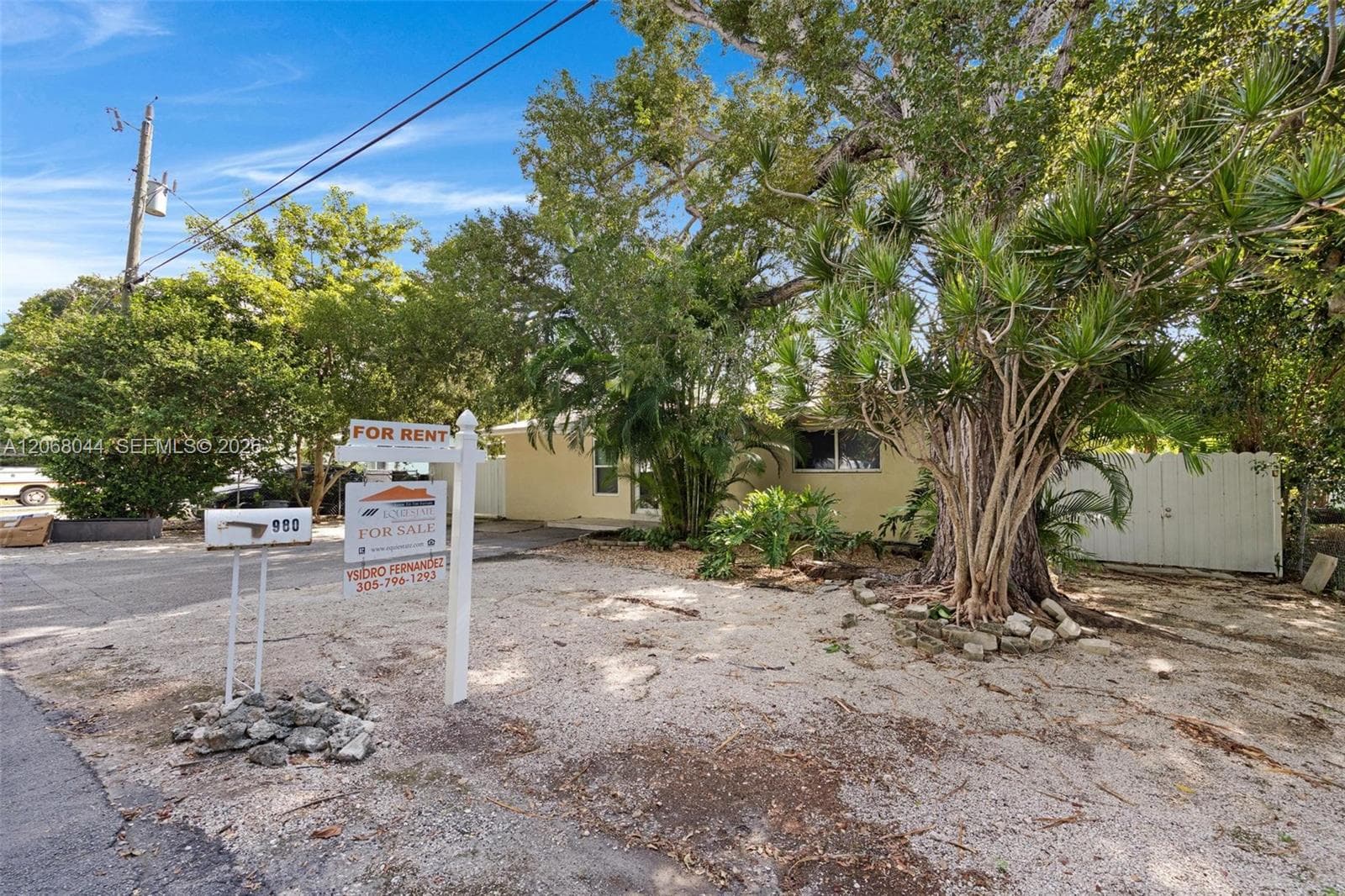 980 Oleander Rd photo 25