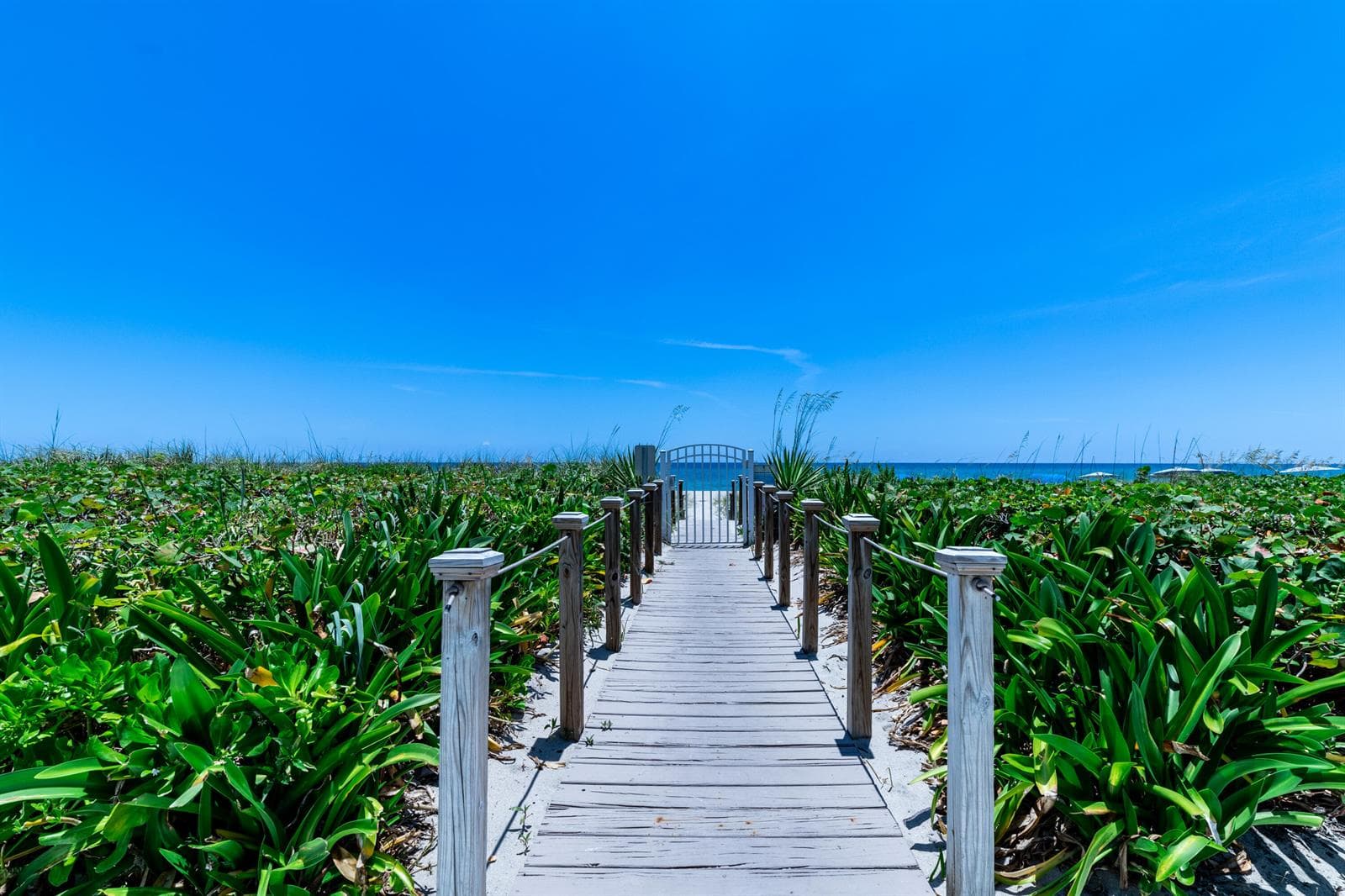 Ocean Access