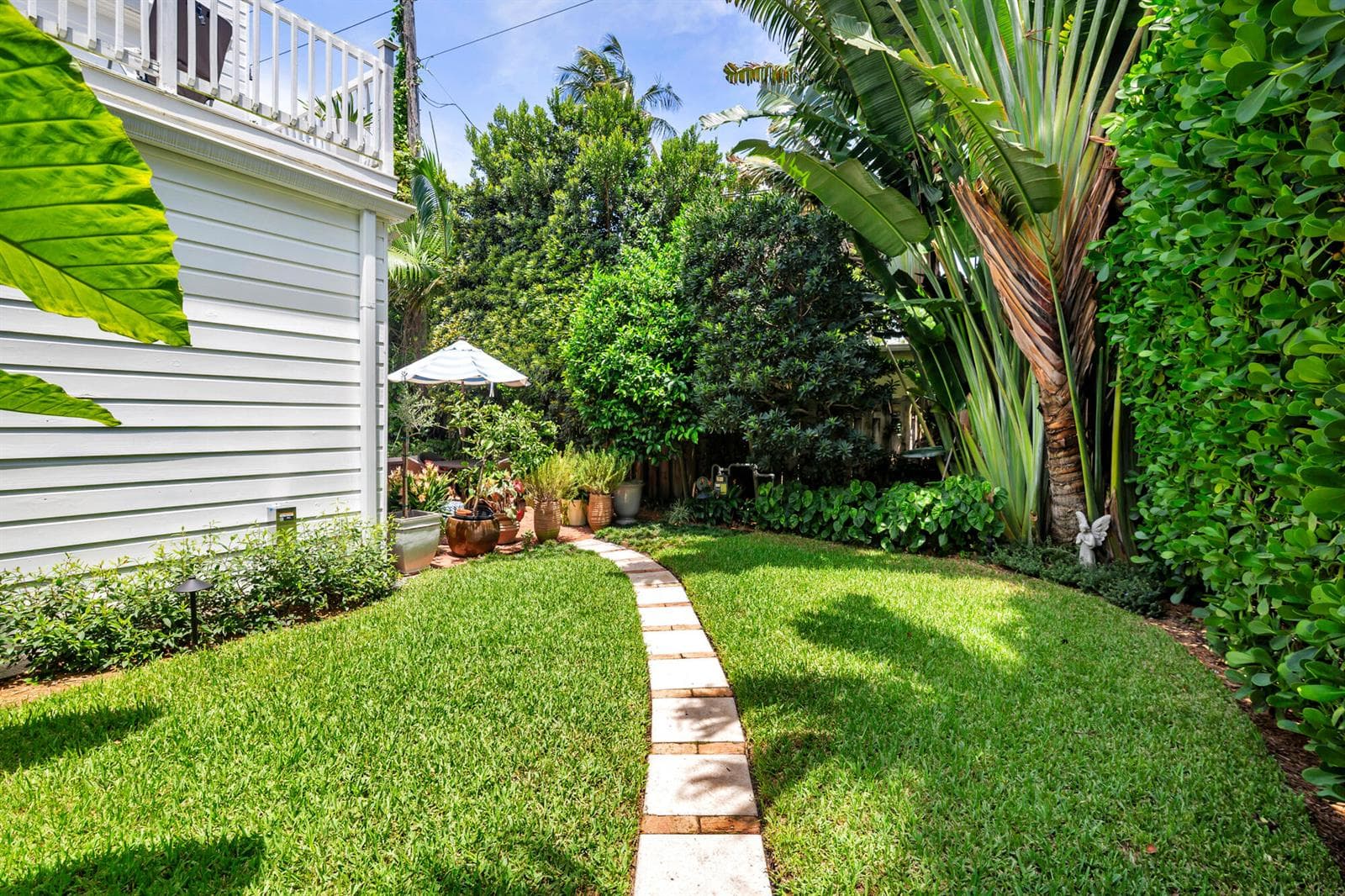 Backyard