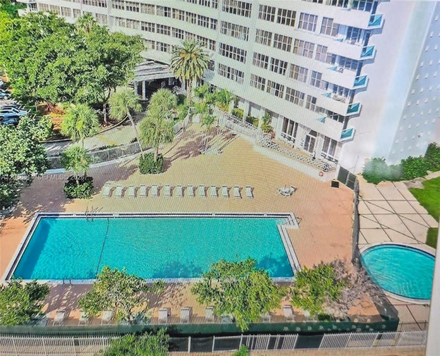 Outdoor area featuring a swimming pool, circular spa, paved terrace, and mature palm trees