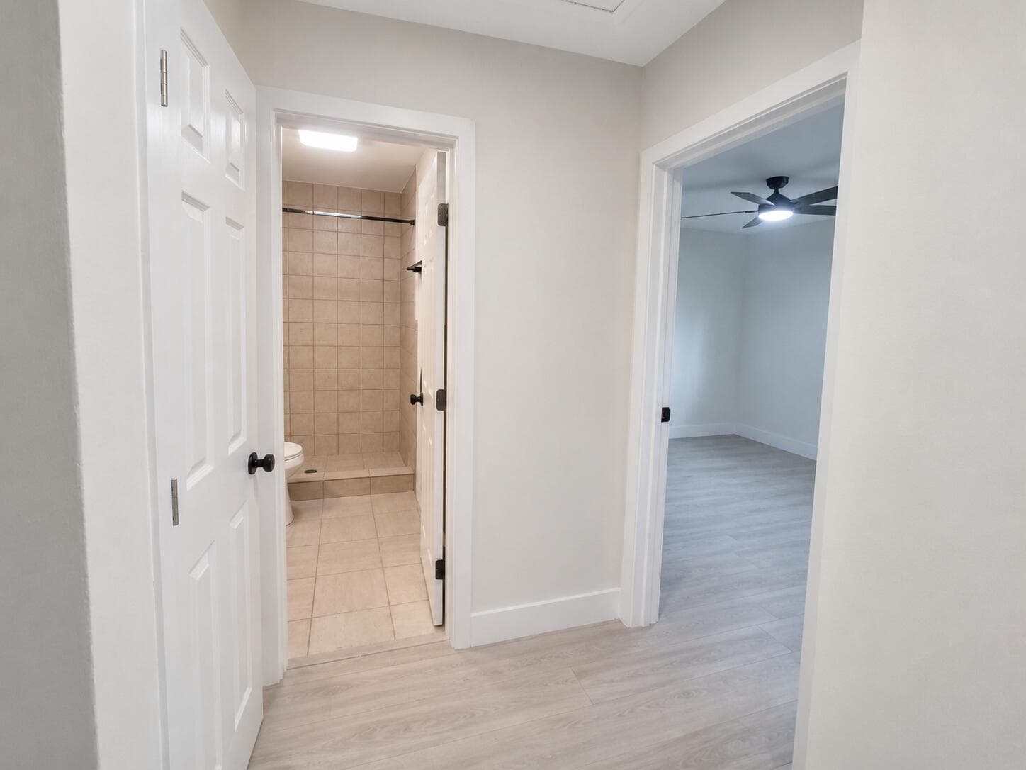 Hall bathroom