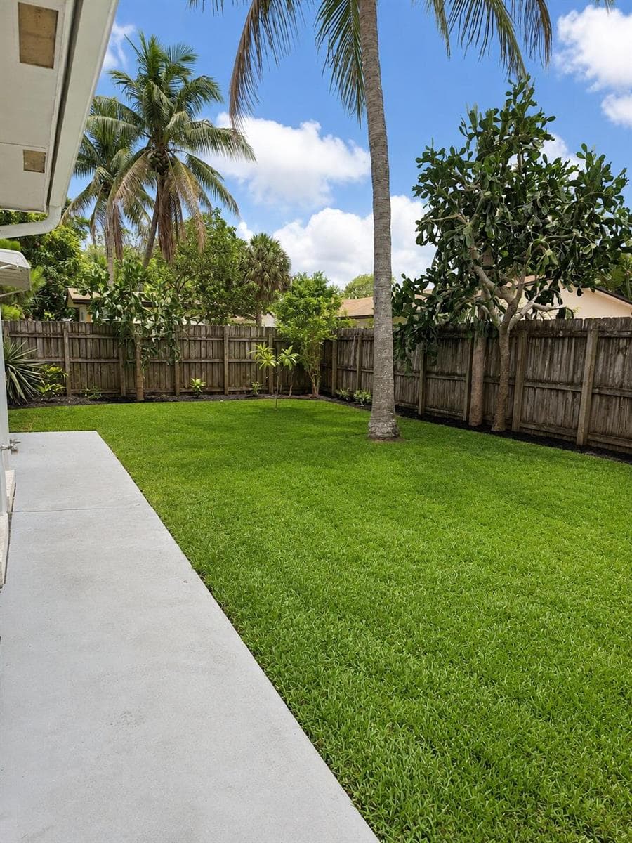 Backyard