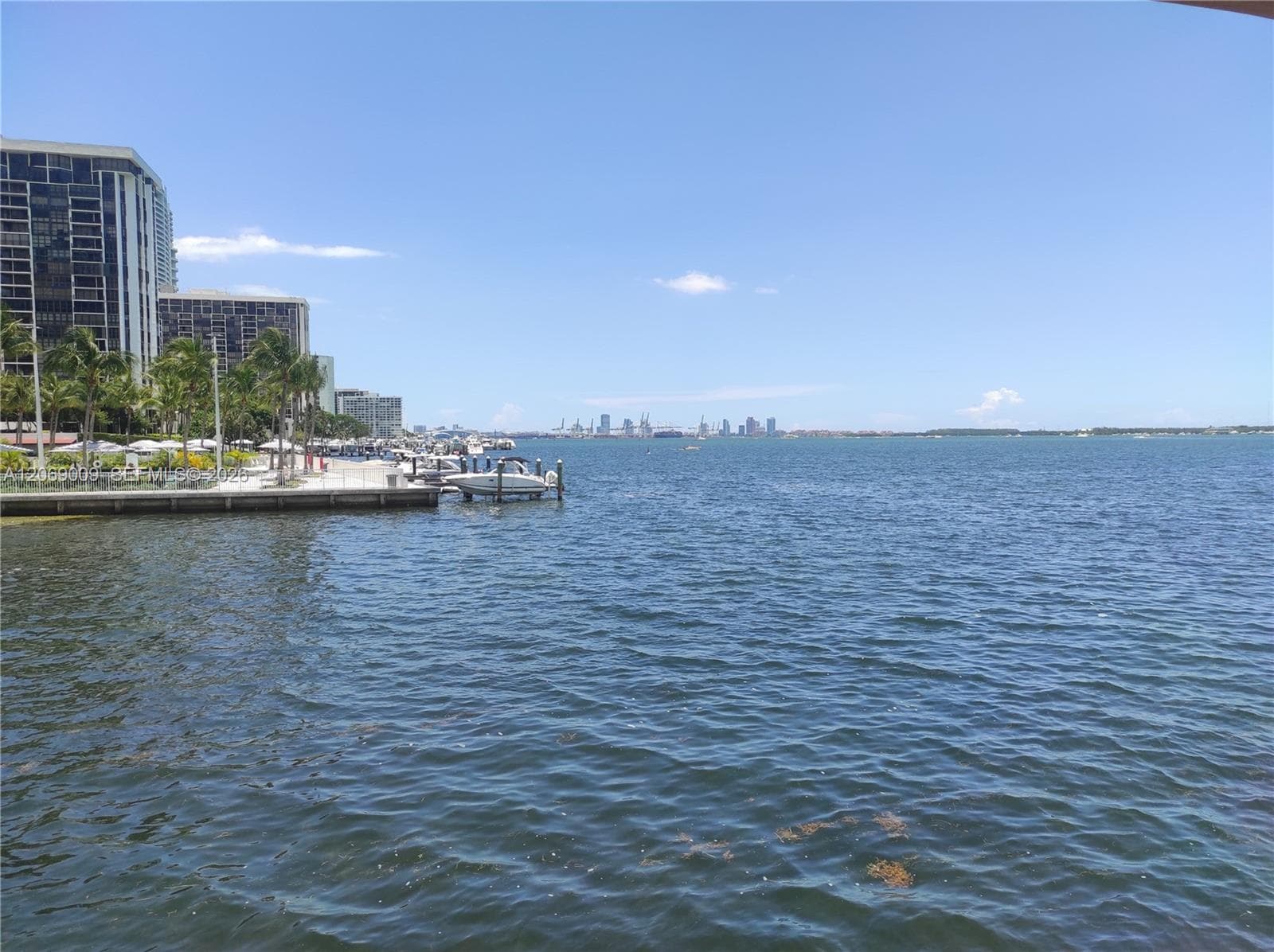 View from pool area