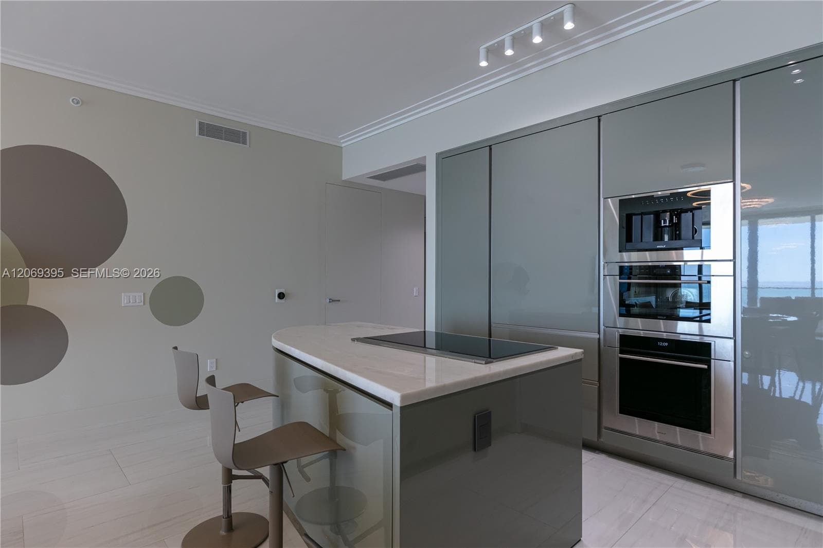 State of the Art Gourmet Kitchen