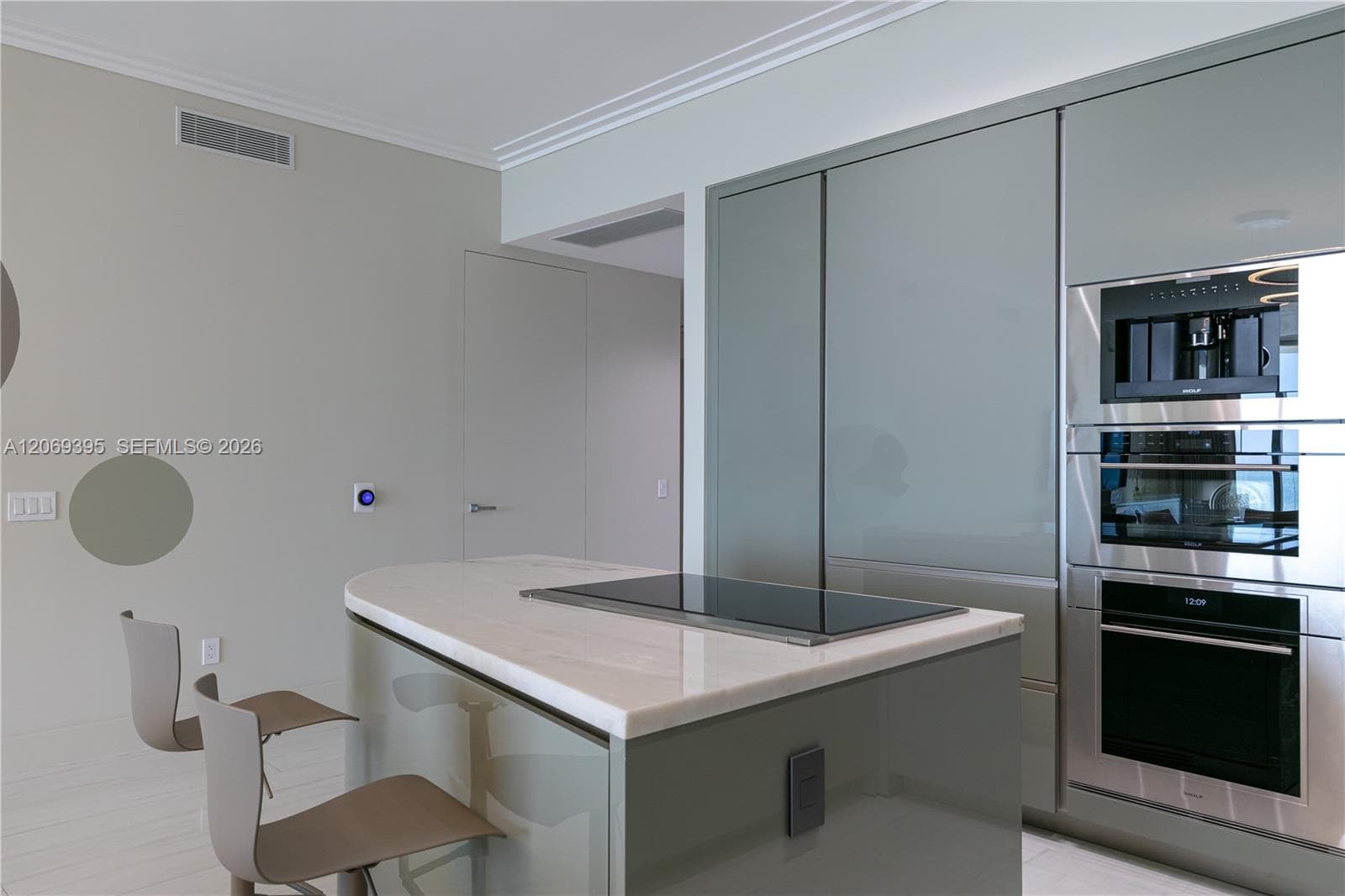 State of the Art Gourmet Kitchen