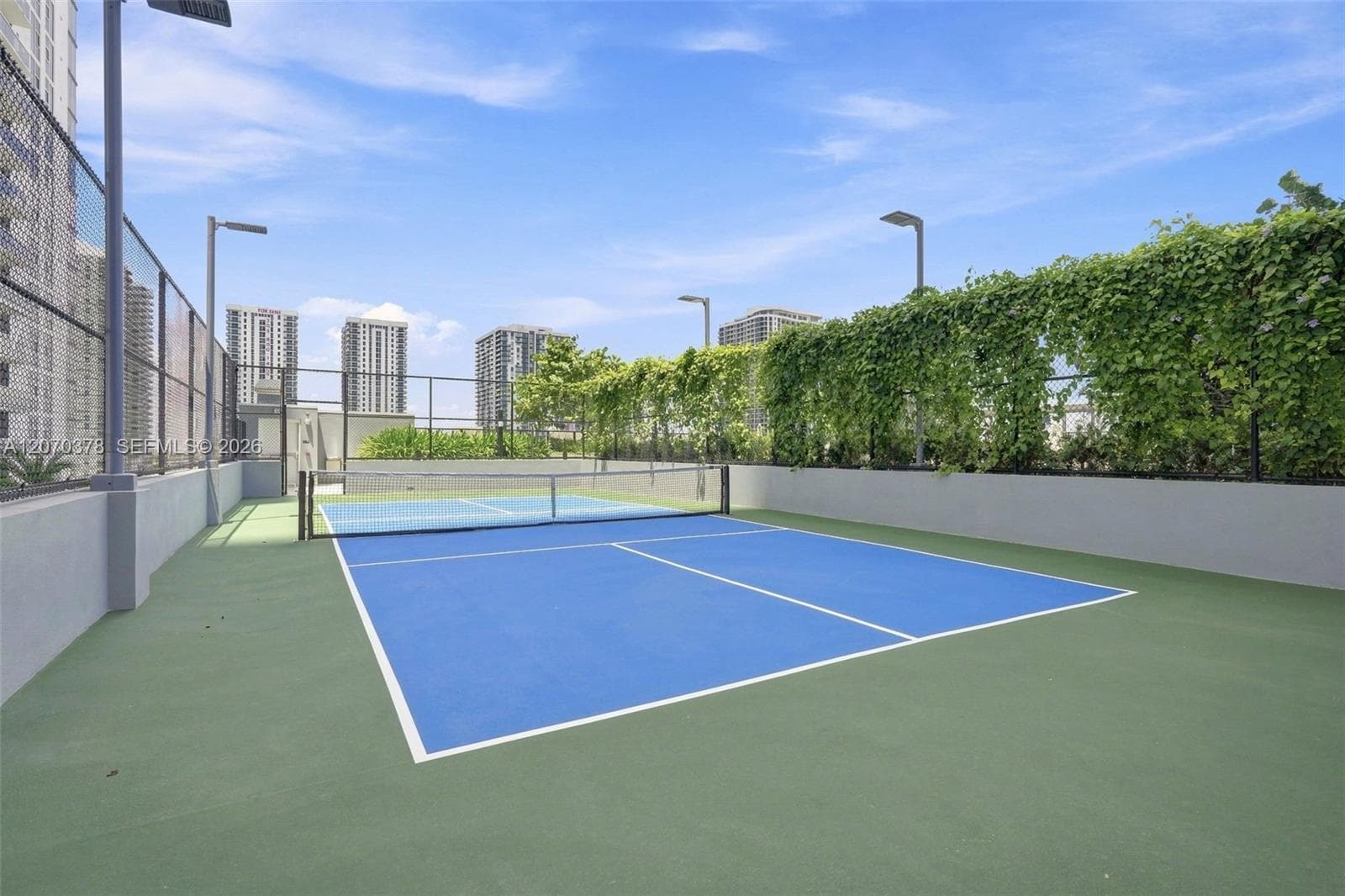 Pickleball Court
