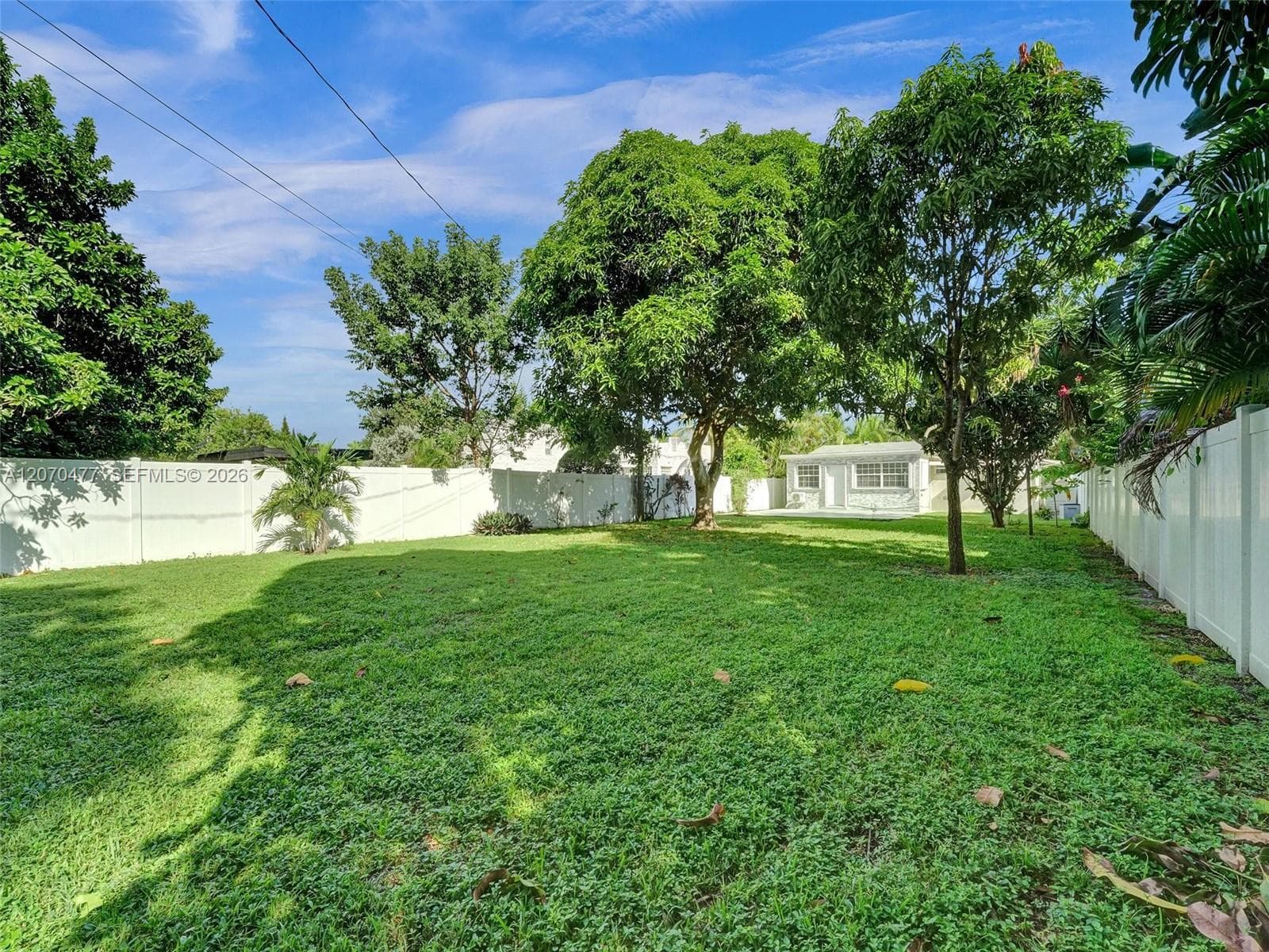 2446 Fillmore St photo 63