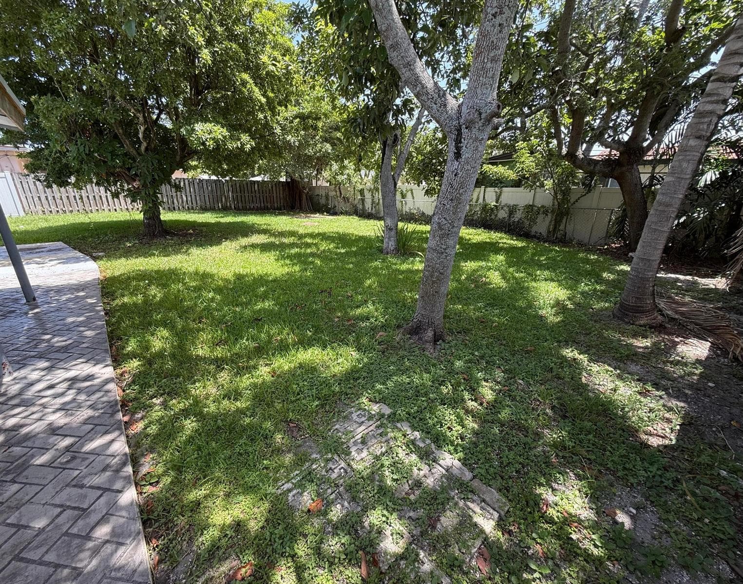 Backyard
