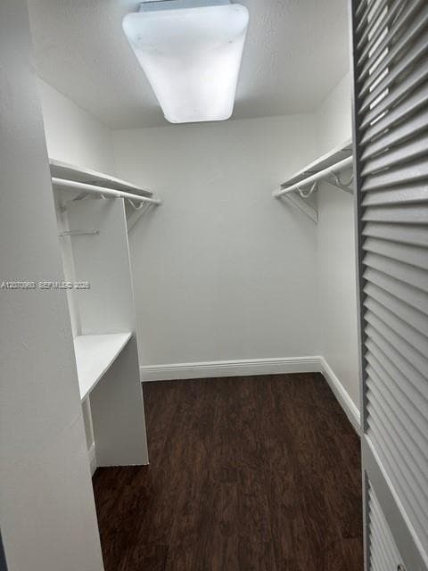 Master Walk in Closet