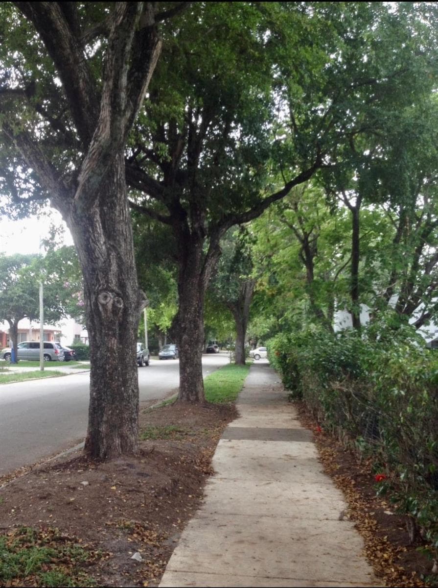 street