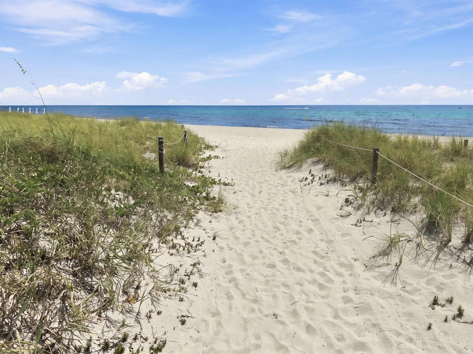 pompano_001(23)