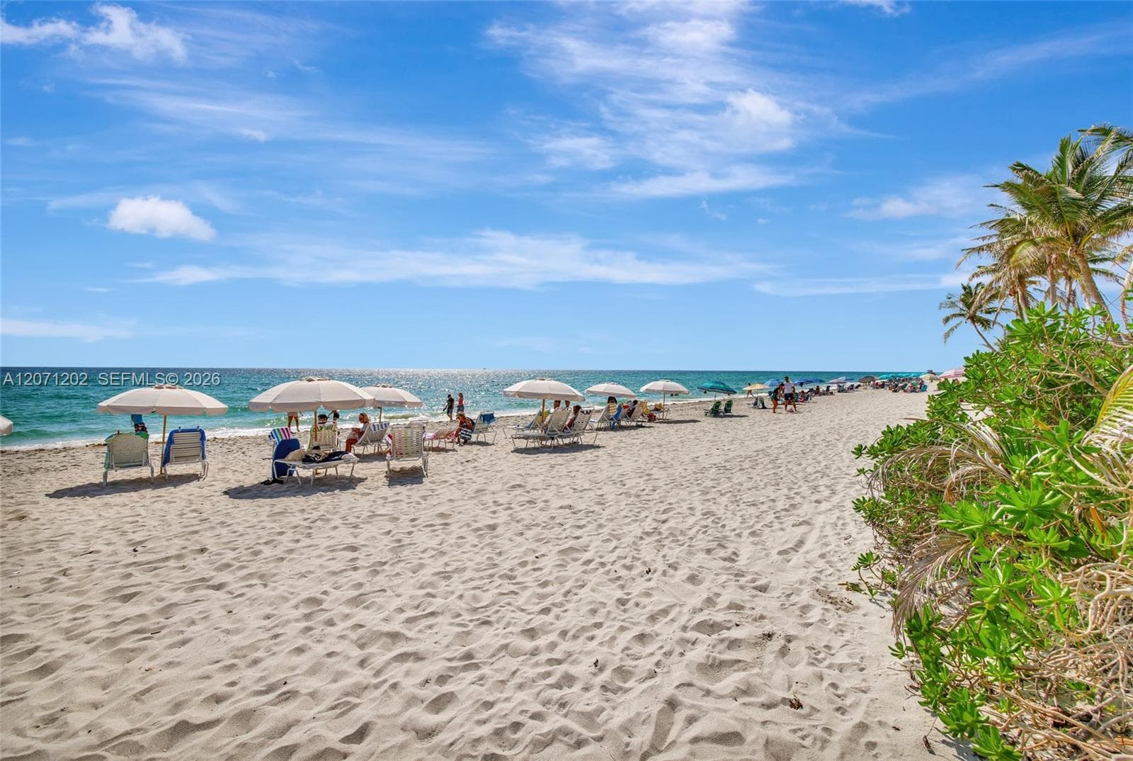 2080 OCEAN DRIVE CONDO · #1102 in Hallandale Beach - Photo 42