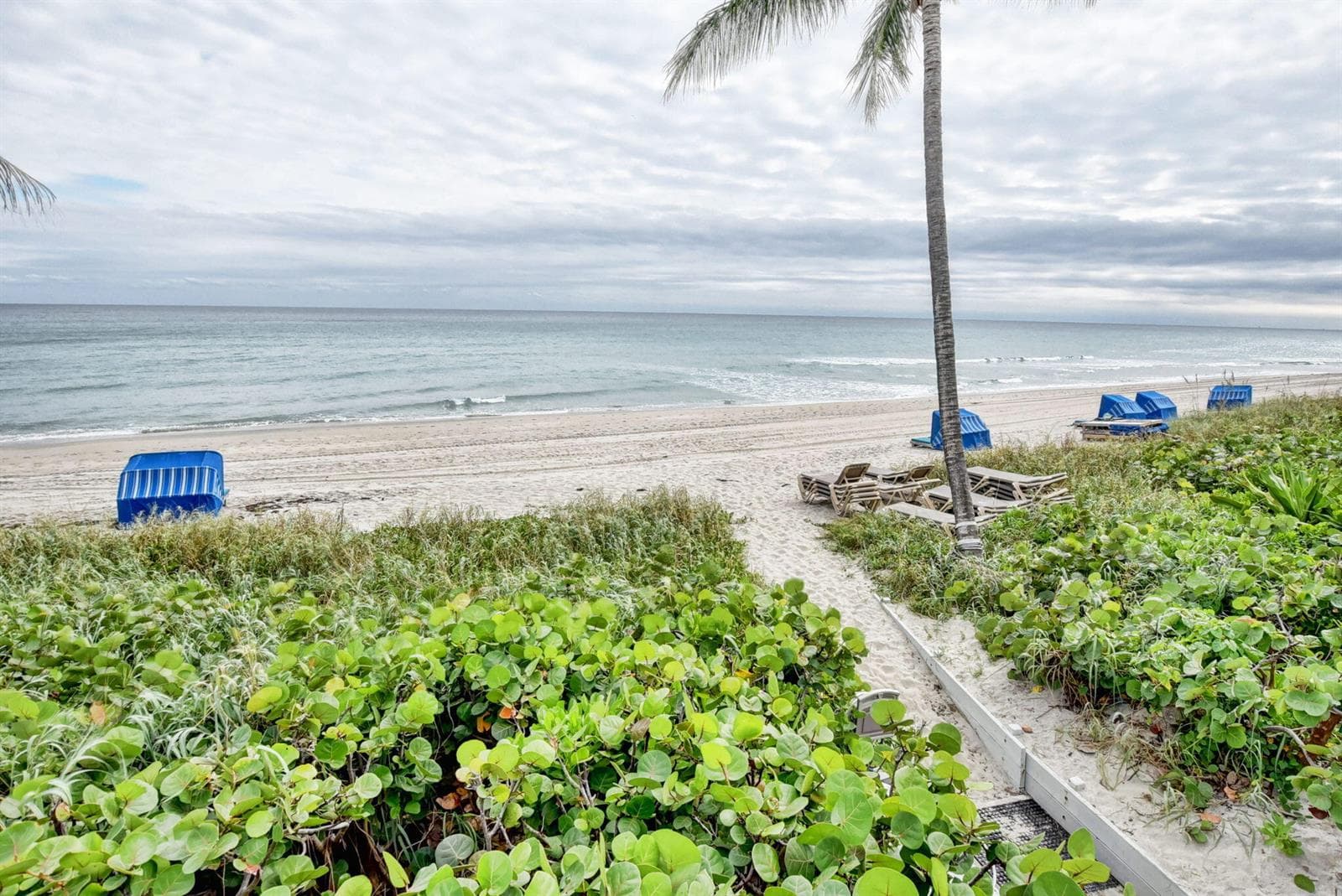 Optional Cabanas Available