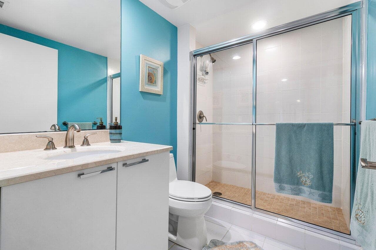 guest bath #2