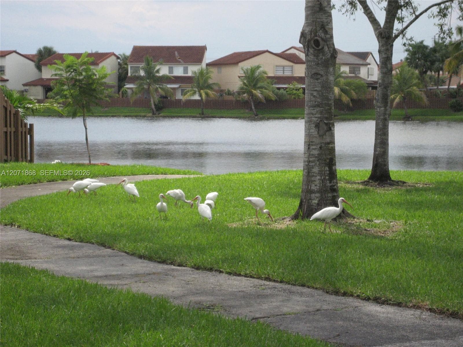 13224 SW 10 TE photo 16