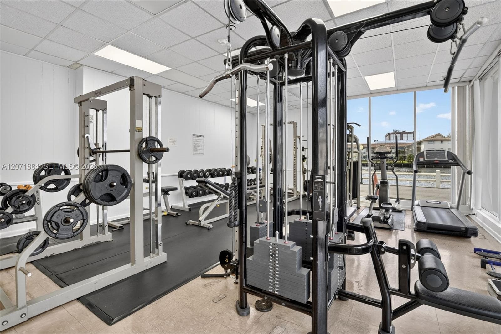 GYM
