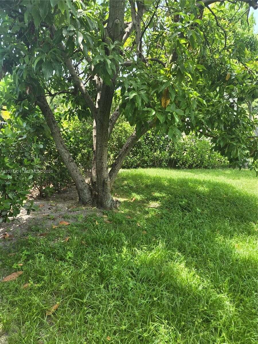 BISCAYNE BLVD PARK · #1170 in Miami - Photo 6