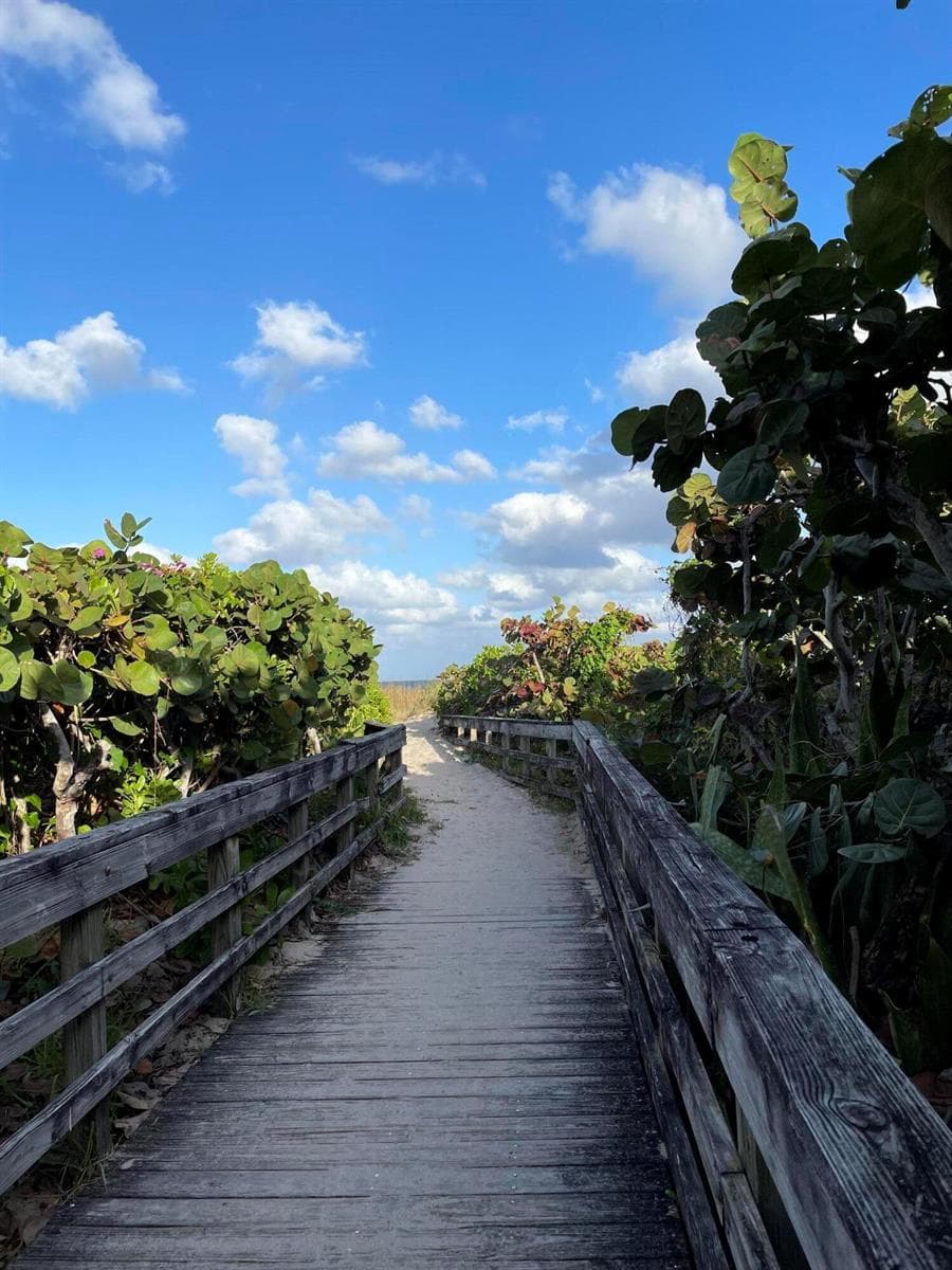 Beach Access Pic