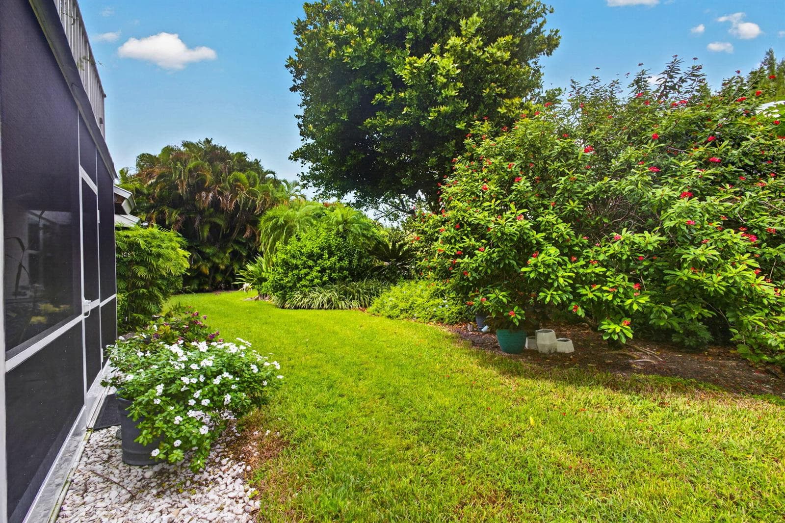 Garden View 2