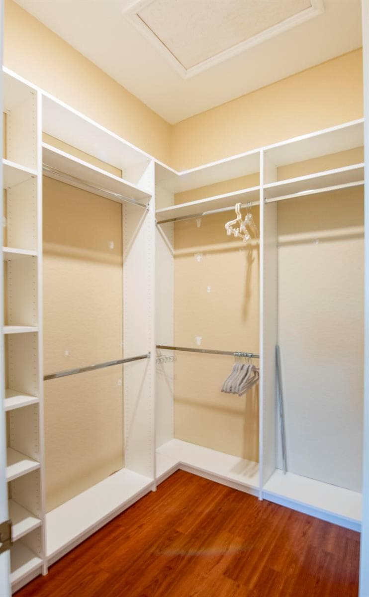 Walk in closet master bedroom