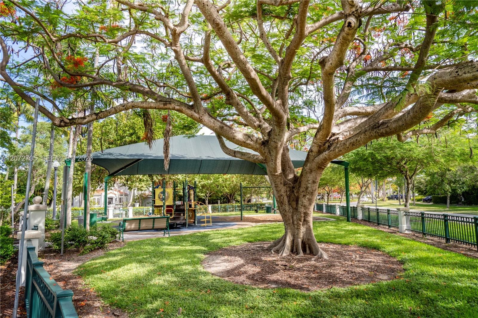 Poinciana Park