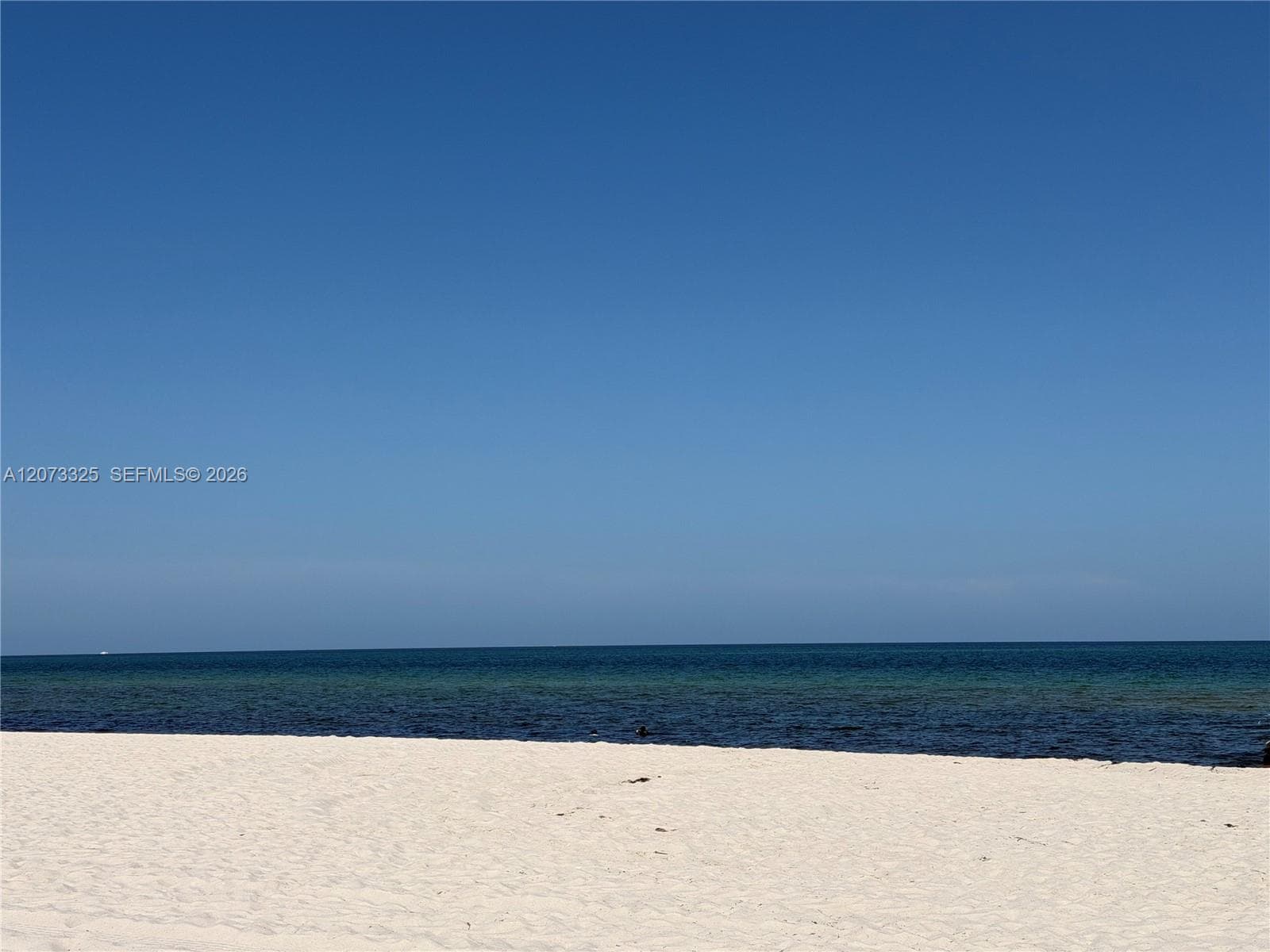 The Royal Club Condo · #1405 in Miami Beach - Photo 56