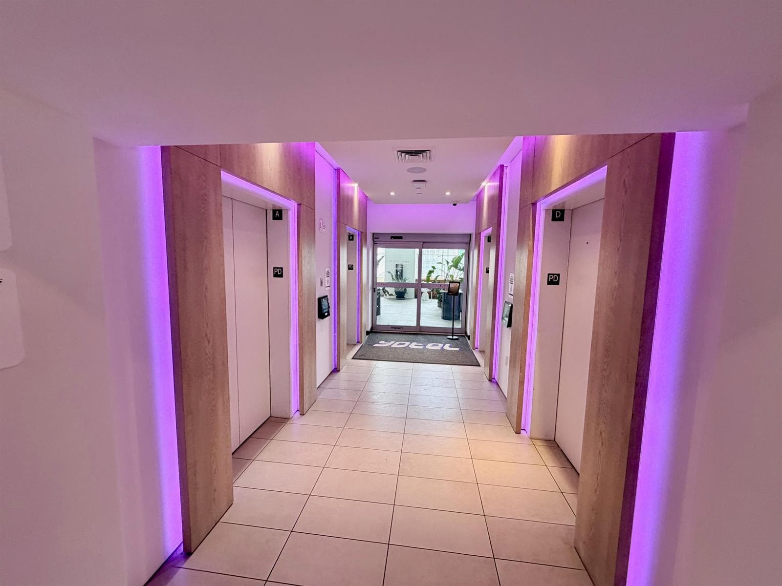 IMG_1517