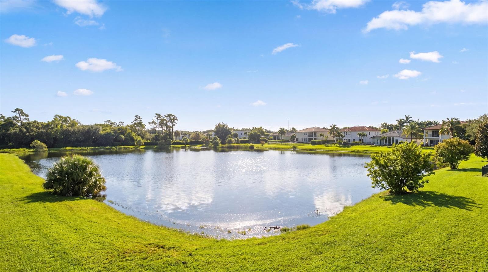 49-4916 Forest Dale Dr