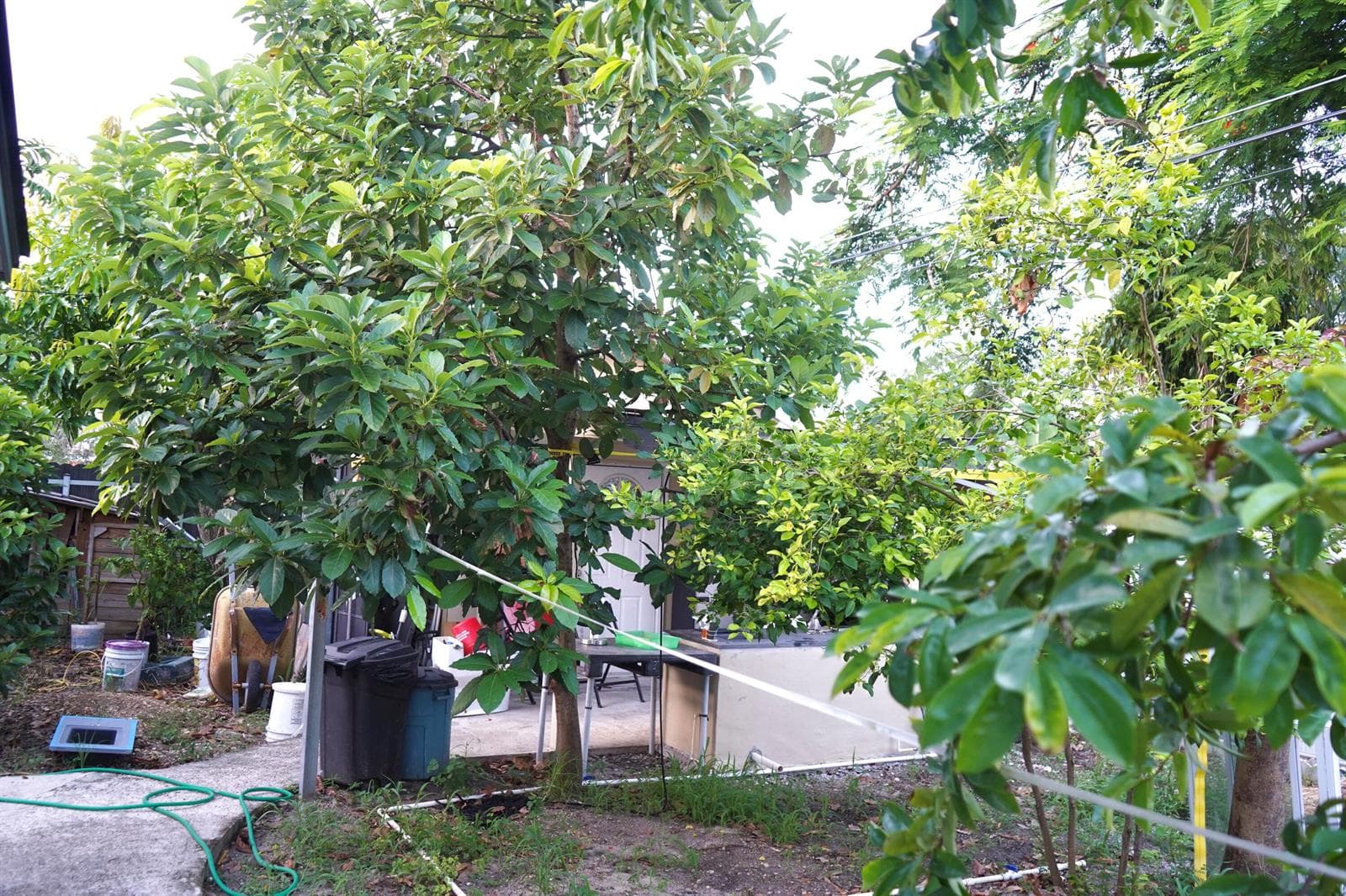 DSC04487