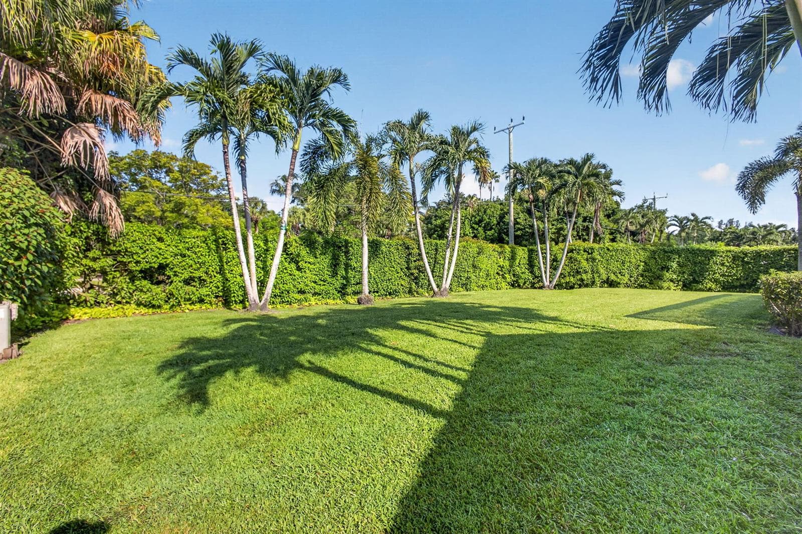 72-web-or-mls-5D1A3032