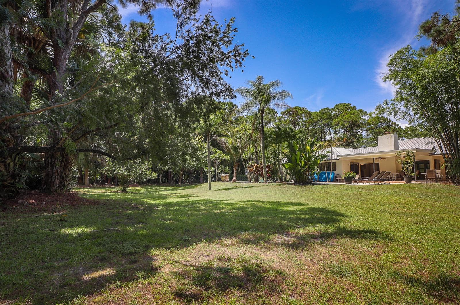 52-Back yard