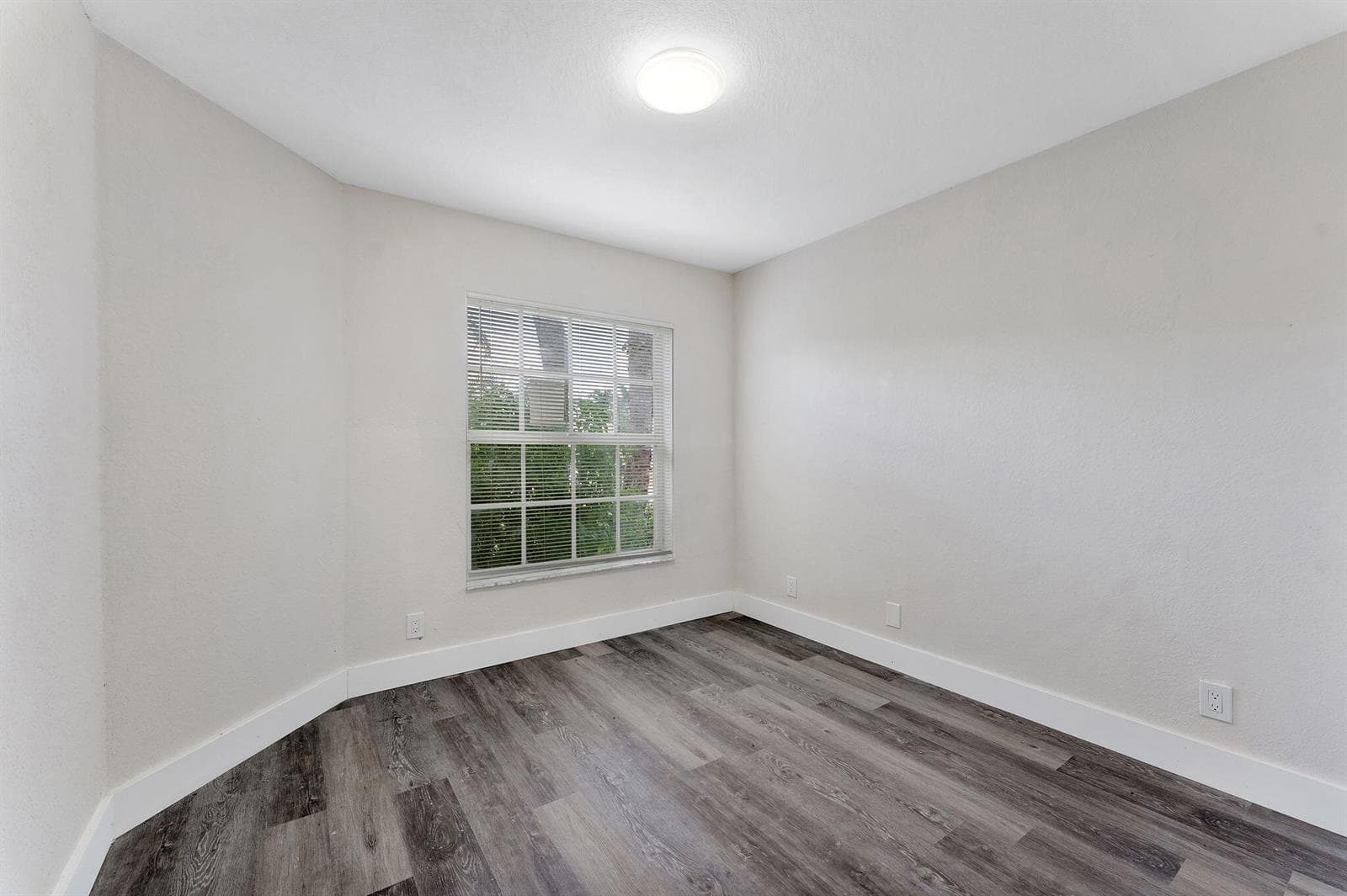 40-web-or-mls-DSC01607