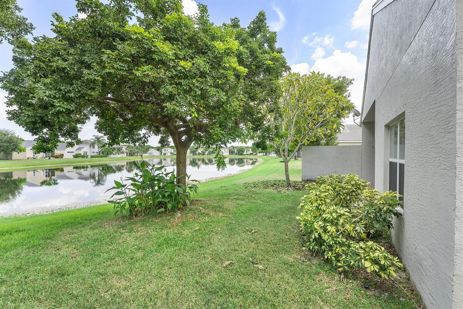 47-web-or-mls-DSC01631