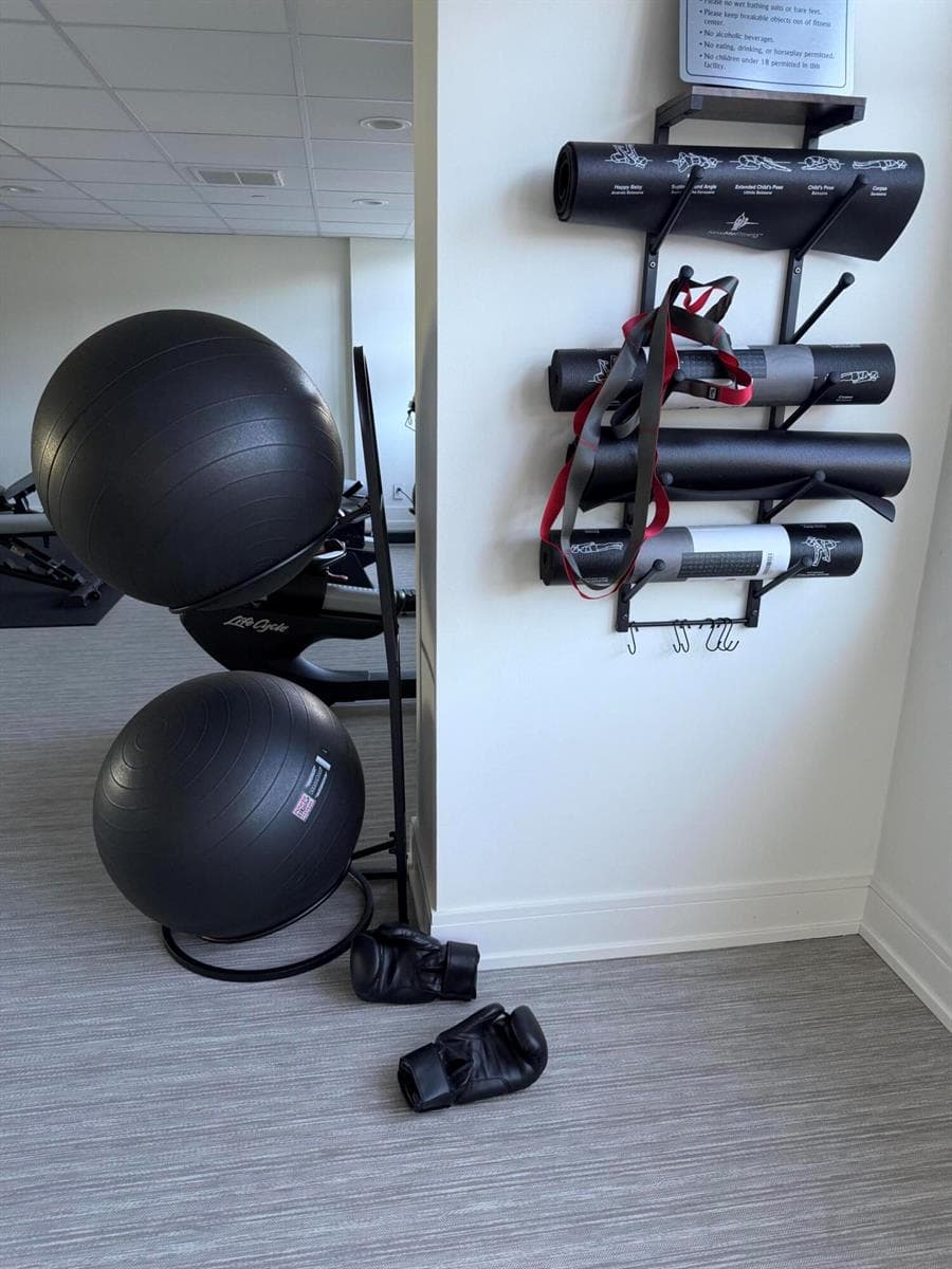 gym 2