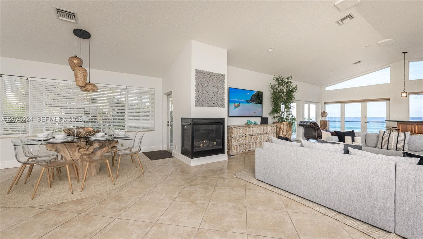 Dining/Living Room Area