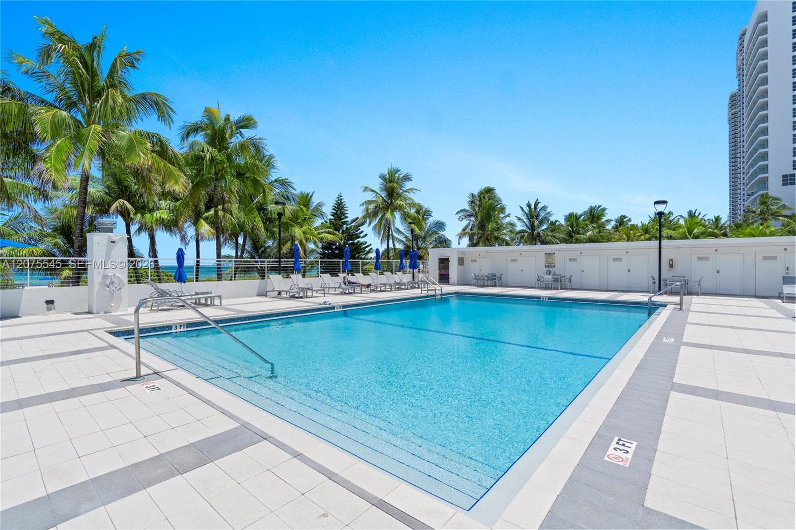 THE CARRIAGE CLUB SOUTH · #3B in Miami Beach - Photo 40
