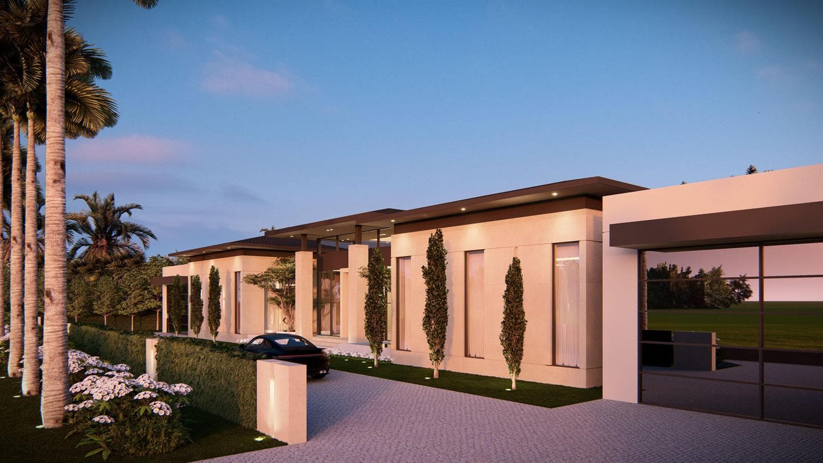 458 ARECA PALM__6