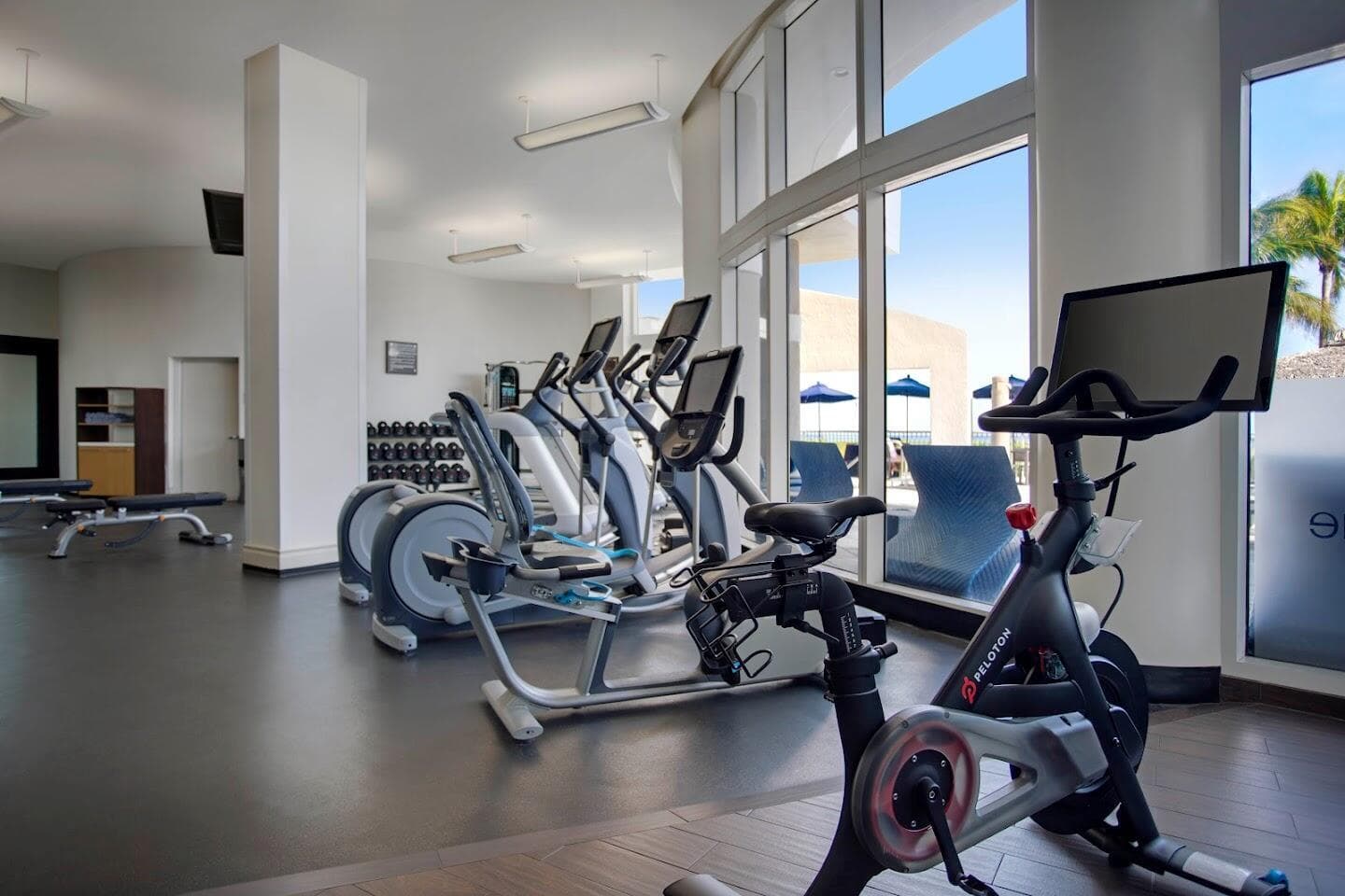 Fitness1