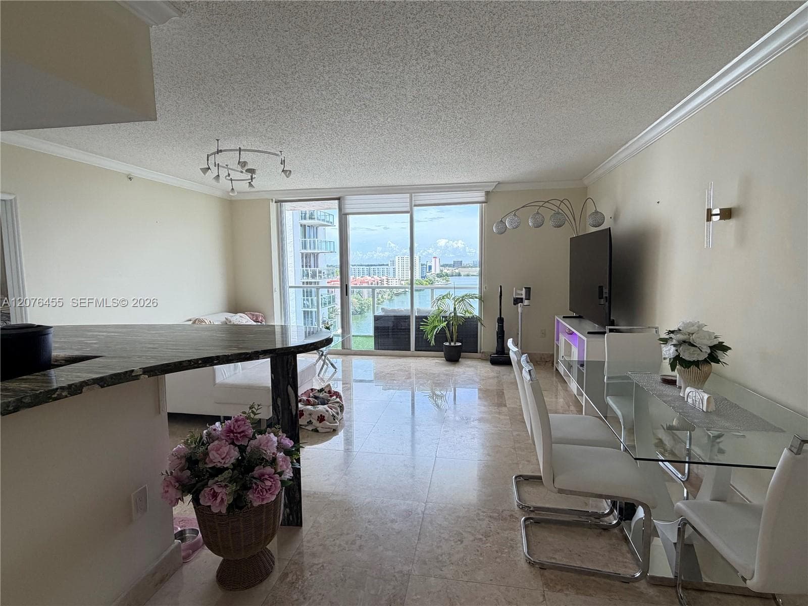Blue Lagoon condominium · #1202 in Miami - Photo 4