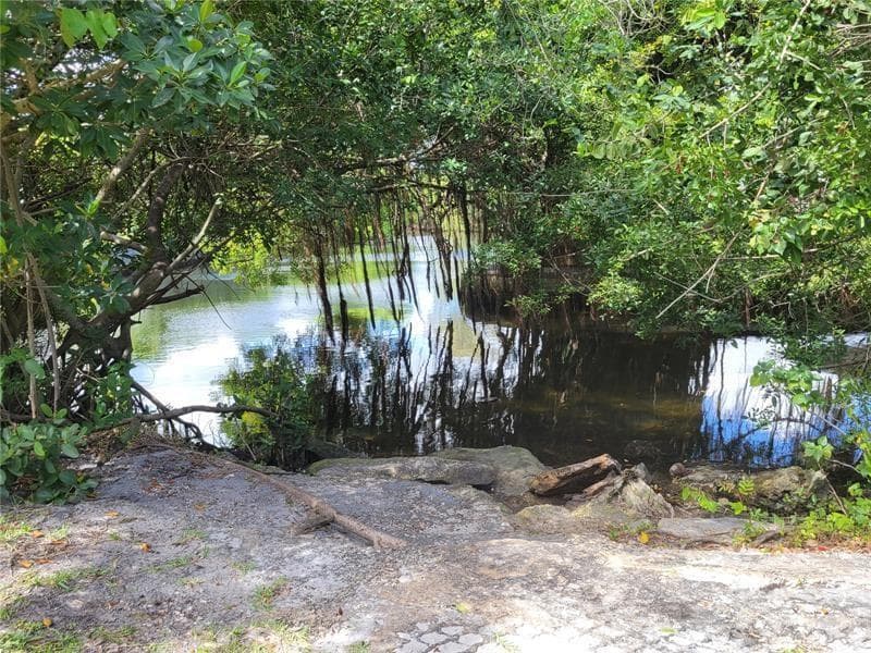 Oleta River where you can kayak