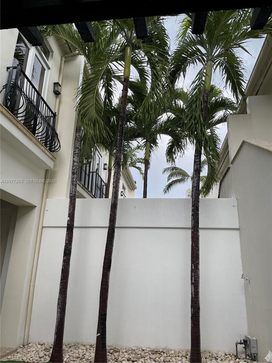 530 Valencia Ave #3 photo 57