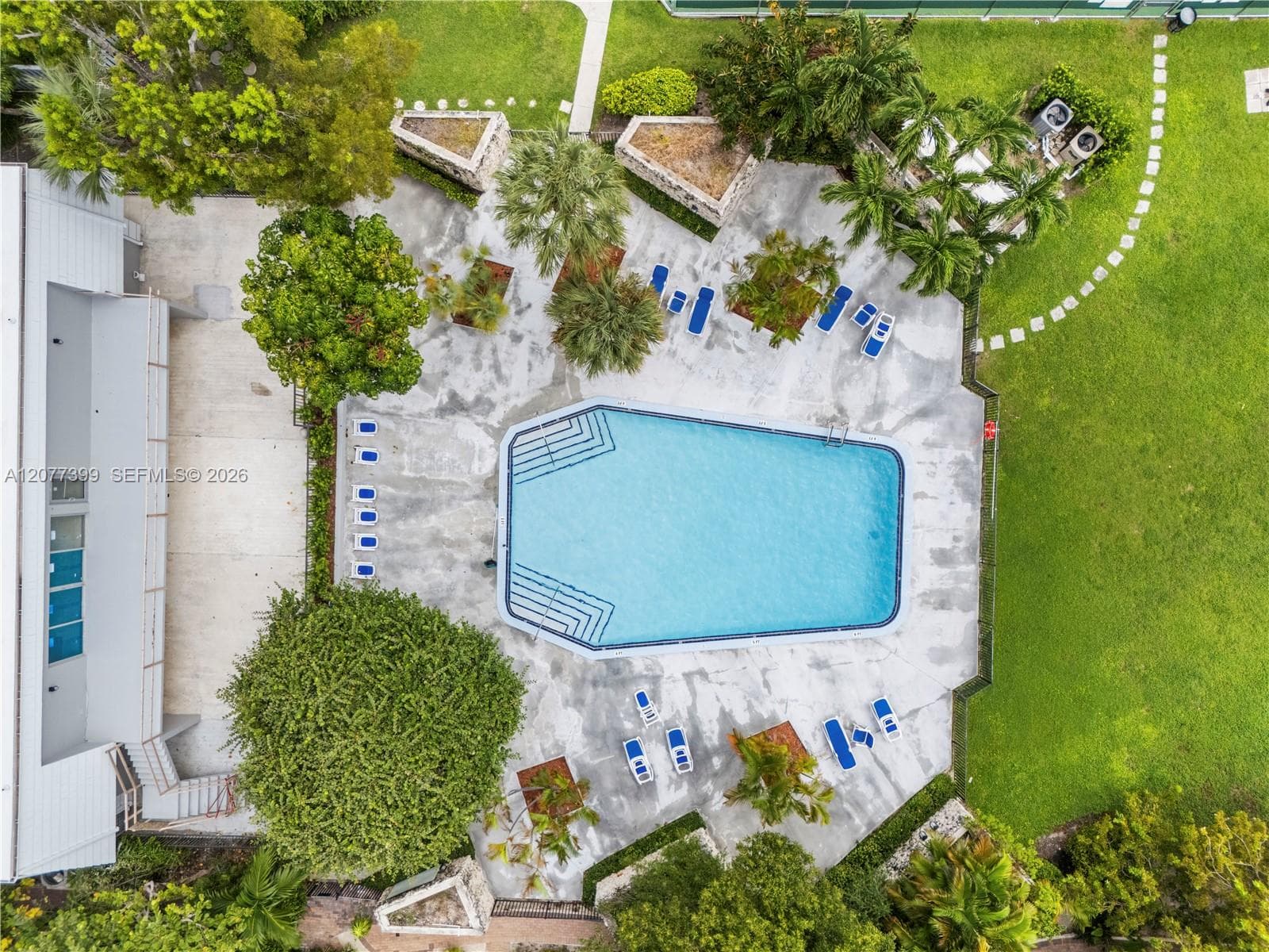 In-ground pool with integrated steps, expansive concrete patio, mature palms, and manicured green space