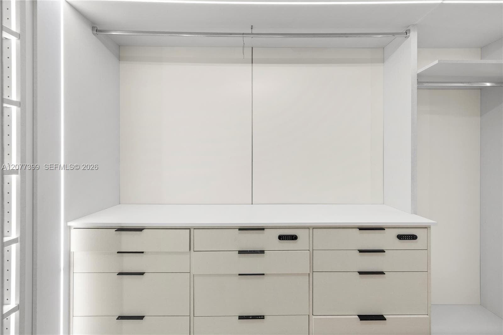 Custom storage system featuring built-in cabinetry, integrated drawer organizers, matte black hardware, and metallic garment rods