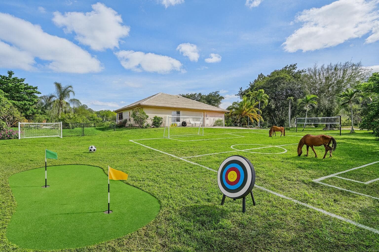 Spacious Backyard with Recreational Acti