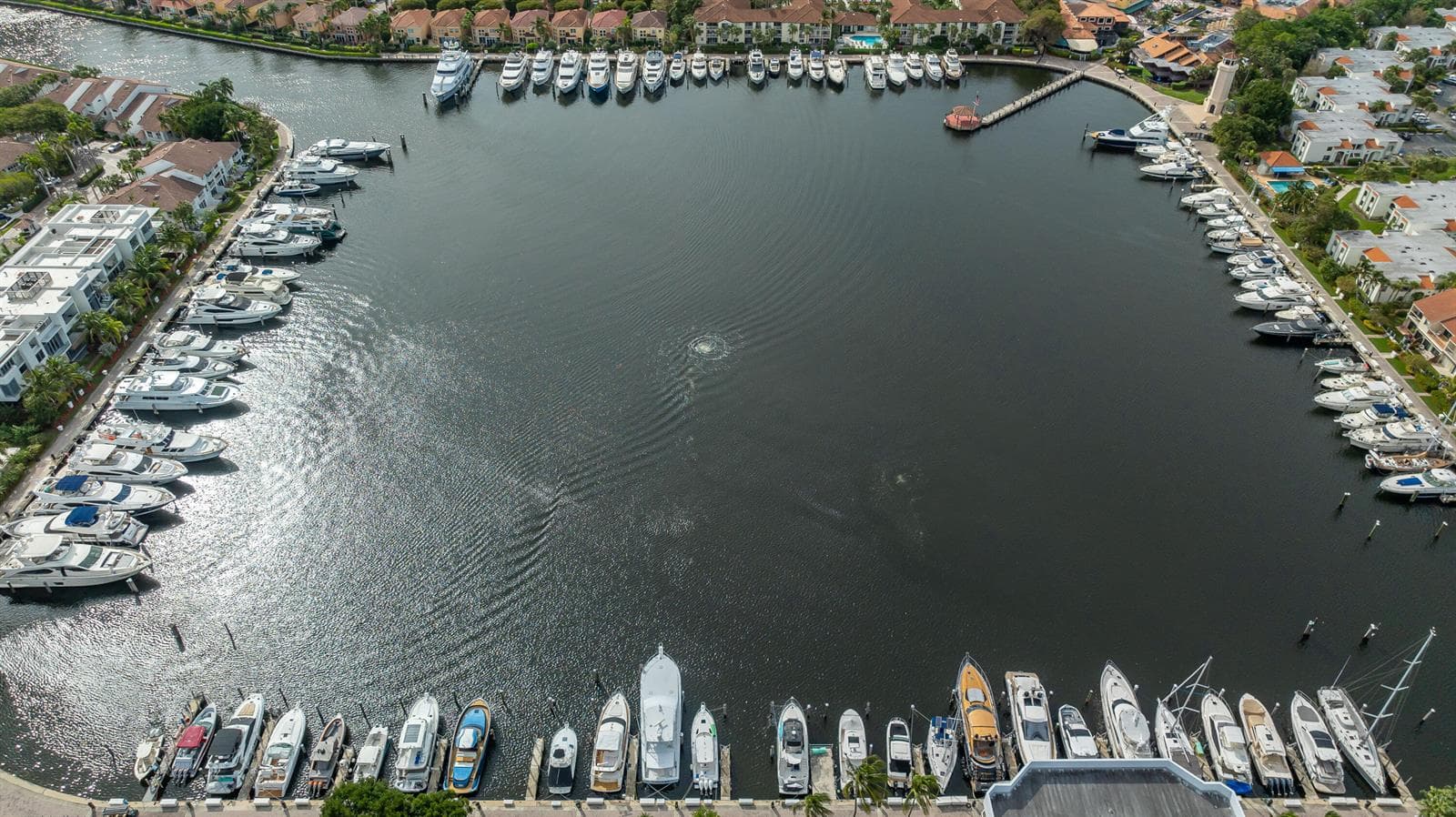 DJI_0673